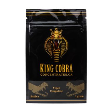 King Cobra Shatter Viper Congolese