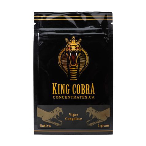 buy bud now king cobra shatter congolese viper 9 10 001 - Cannabis Deals In Canada