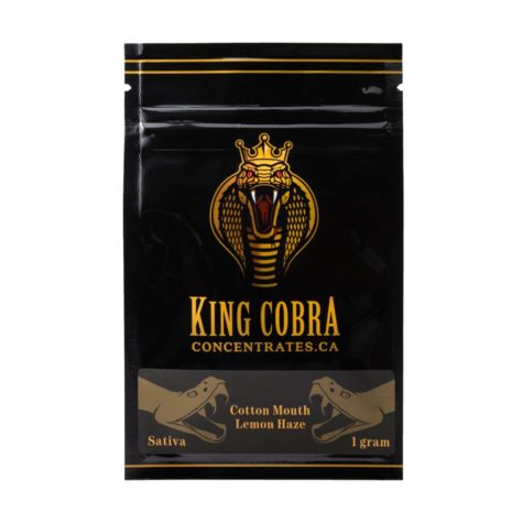 buy bud now king cobra shatter lemon haze cottonmouth 9 10 001 - Cannabis Deals In Canada
