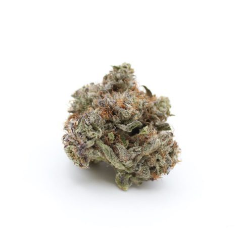 buy bud now qotg canned grape god 9 10 001 - Cannabis Deals In Canada