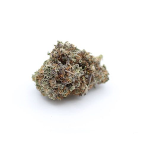 buy bud now qotg canned grape god 9 10 002 - Cannabis Deals In Canada