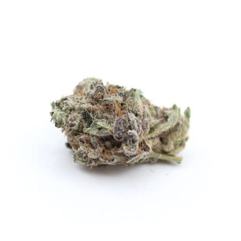 buy bud now qotg canned grape god 9 10 003 - Cannabis Deals In Canada