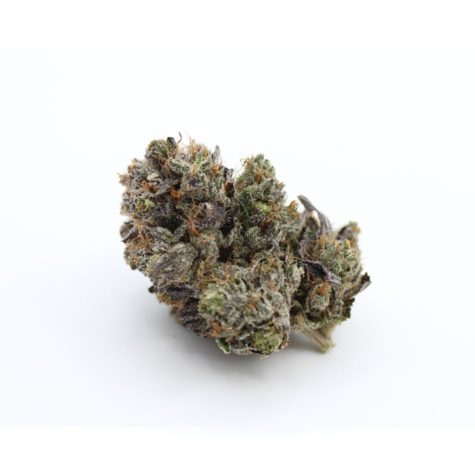buy bud now qotg canned lindsey og 9 10 001 - Cannabis Deals In Canada