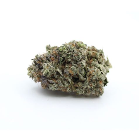buy bud now qotg canned mk ultra 9 10 002 - Cannabis Deals In Canada
