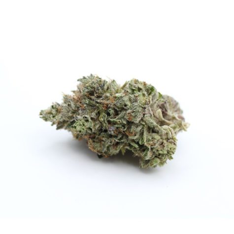 buy bud now qotg canned mk ultra 9 10 003 - Cannabis Deals In Canada