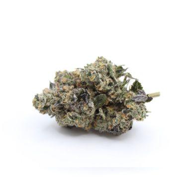 QOTG Canned Cannabis – Rainbow Chip AAA+