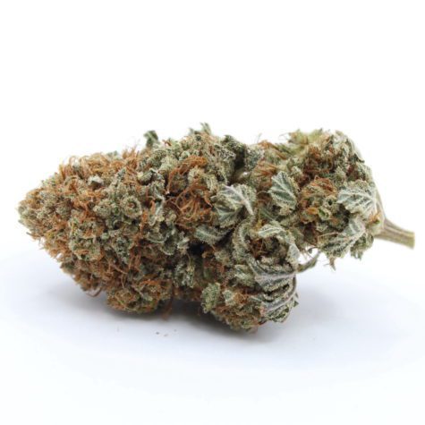Flower OGShark Pic2 - Cannabis Deals In Canada