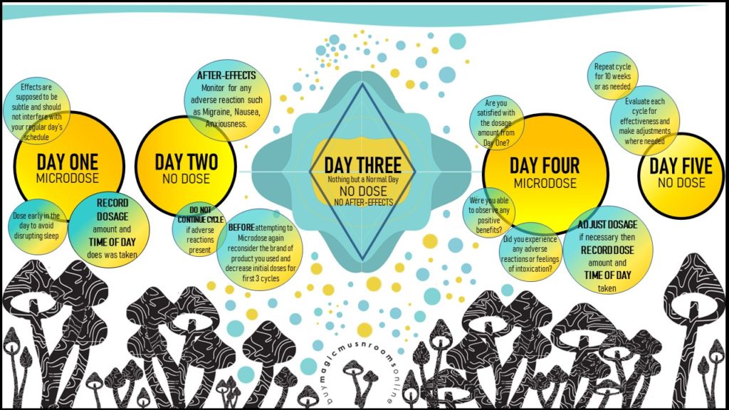 How-to-microdose-magic-mushrooms-in-Canada-2
