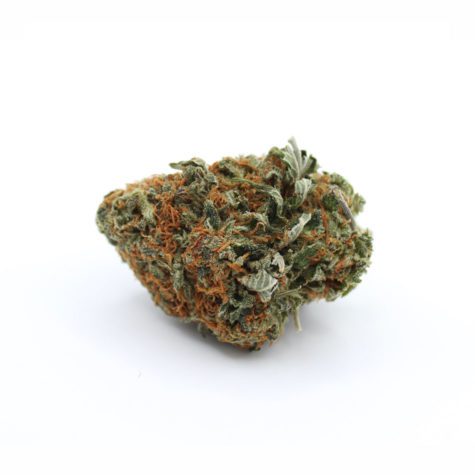 mataro blue v1 003 - Cannabis Deals In Canada