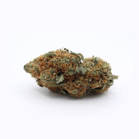 orange kush v1 002 - Cannabis Deals In Canada