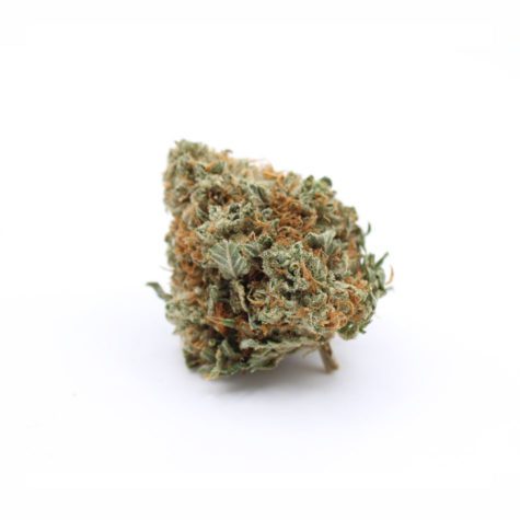 strawberry cough v1 002 - Cannabis Deals In Canada