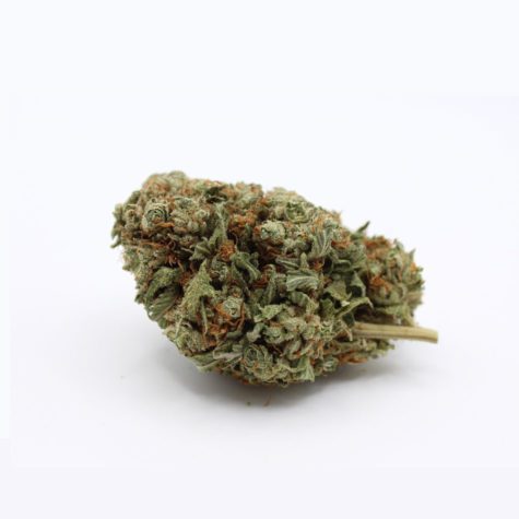 strawberry cough v1 003 - Cannabis Deals In Canada