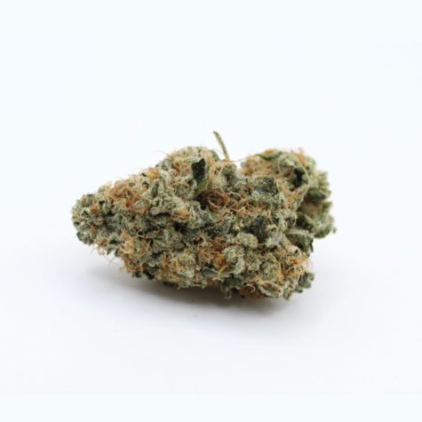 vanilla kush v1 001 - Cannabis Deals In Canada