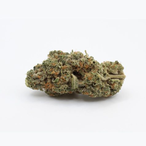 vanilla kush v1 002 - Cannabis Deals In Canada