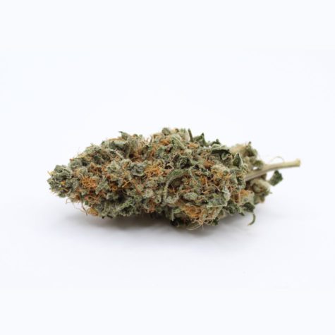 vanilla kush v1 003 - Cannabis Deals In Canada