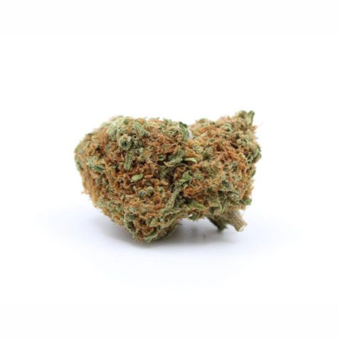 Goji Berry 03 - Cannabis Deals In Canada