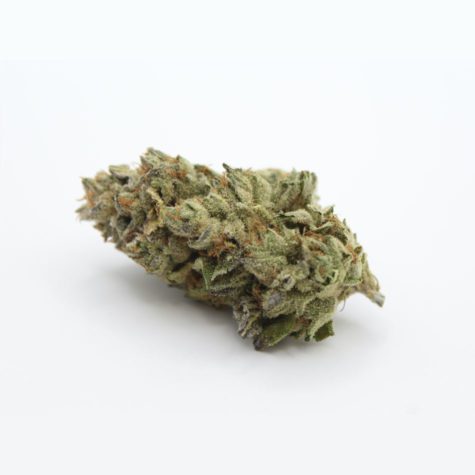 Hazelnut Cream 02 - Cannabis Deals In Canada