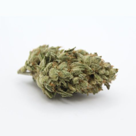 Hazelnut Cream 03 - Cannabis Deals In Canada