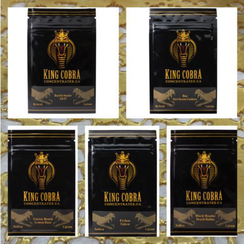 King Cobra Shatter 5pack 01 - Cannabis Deals In Canada