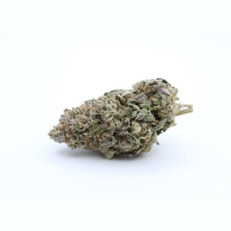 QOTG Canned Cannabis Blueberry Pie 01 - Cannabis Deals In Canada