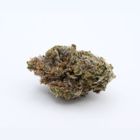 QOTG Canned Cannabis Cherry Pie 03 - Cannabis Deals In Canada
