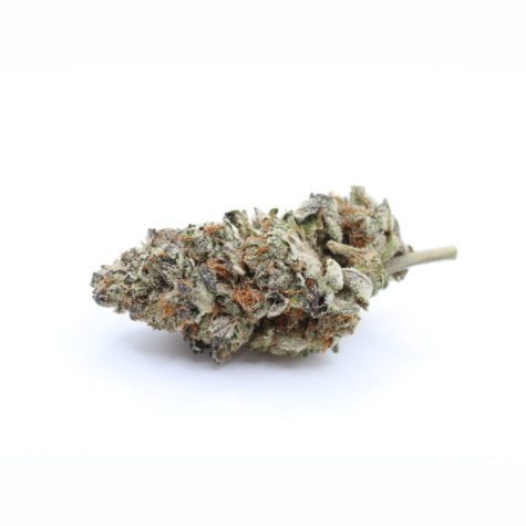 QOTG Canned Cannabis Sour Tangie 03 - Cannabis Deals In Canada