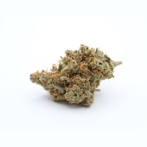 QOTG Canned Cannabis Super Lemon Haze 01 - Cannabis Deals In Canada