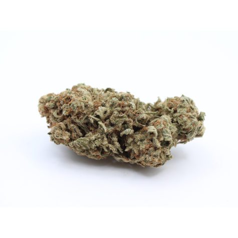 Sherbert 003 - Cannabis Deals In Canada