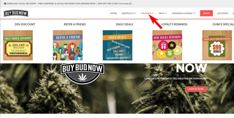 Finding Your Cannabis Faves Is Easier Than Ever On Our New Site