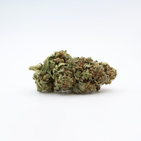 gorilla glue 4 002 - Cannabis Deals In Canada