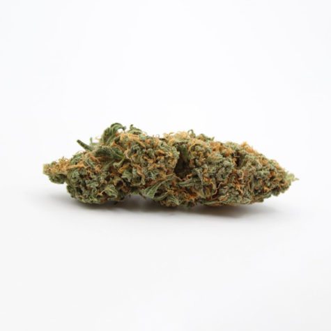 jack herer 002 - Cannabis Deals In Canada