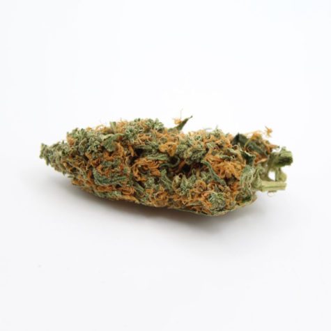jack herer 003 - Cannabis Deals In Canada
