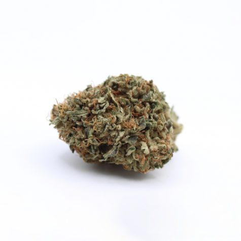 master kush 003 - Cannabis Deals In Canada