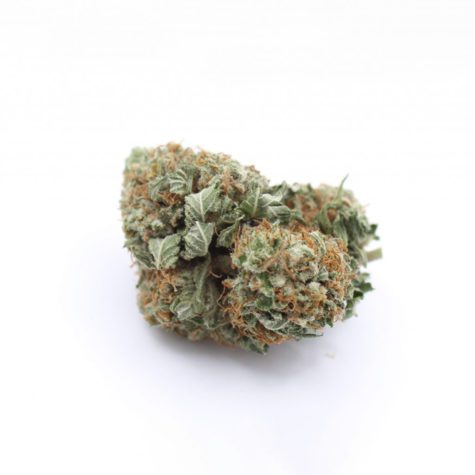 pink kush 002 - Cannabis Deals In Canada