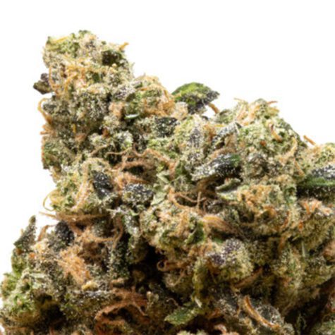 skookum 14g headbanger 003 - Cannabis Deals In Canada