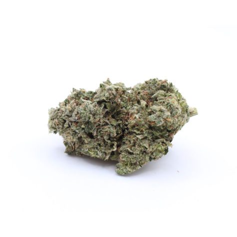 Bluefin OZ Special 02 - Cannabis Deals In Canada