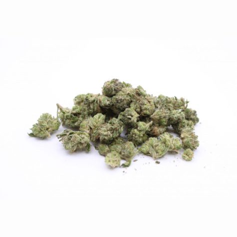 Bluefin Smalls 03 - Cannabis Deals In Canada