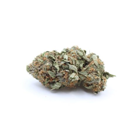 Tuna Kush Version C 02 - Cannabis Deals In Canada