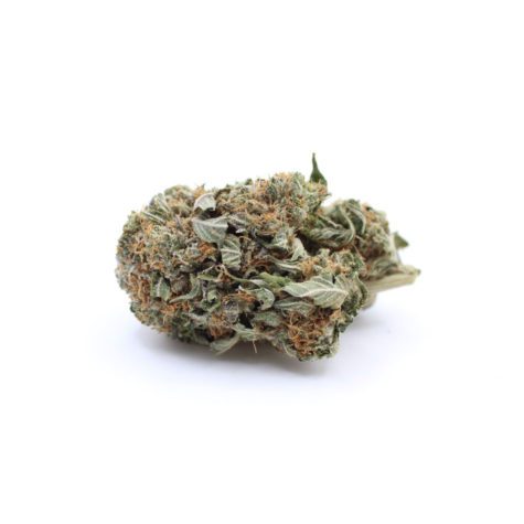 Tuna Kush Version C 03 - Cannabis Deals In Canada