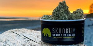 Read more about the article Get Premium Canned Cannabis In Canada