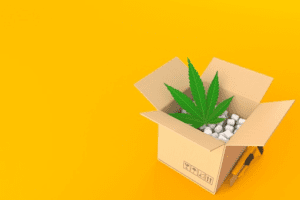 weed delivery service; low price; delivered in to your door; order weed and edibles
