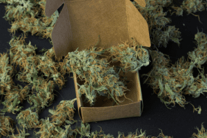montreal weed delivery services