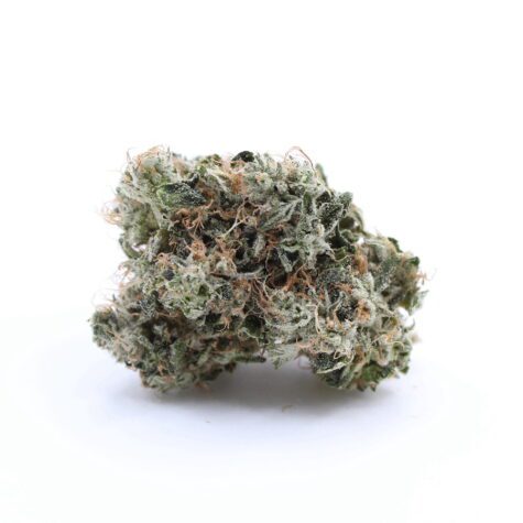 Flower BlkTuna Pic3 - Cannabis Deals In Canada