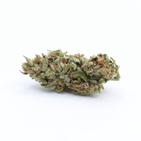 Flower SSH Pic2 - Cannabis Deals In Canada