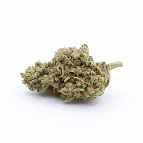 Flower SSH Pic3 - Cannabis Deals In Canada