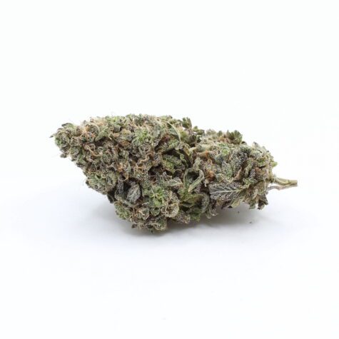 Flower Biscotti Pic2 - Cannabis Deals In Canada