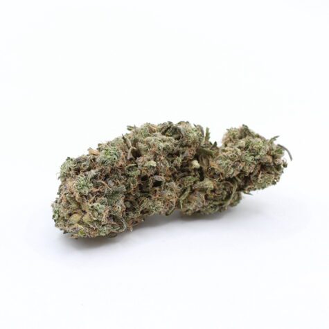 Flower Biscotti Pic3 - Cannabis Deals In Canada