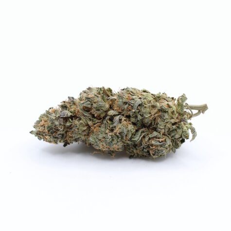 Flower SD Pic1 - Cannabis Deals In Canada