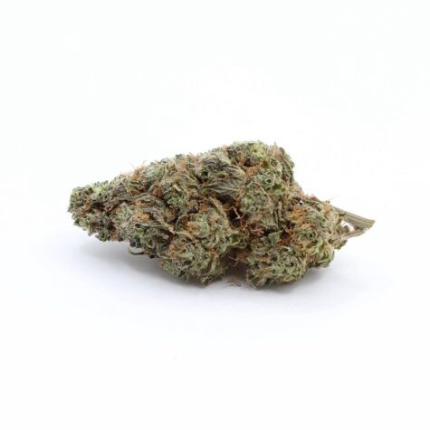 Flower SD Pic3 - Cannabis Deals In Canada