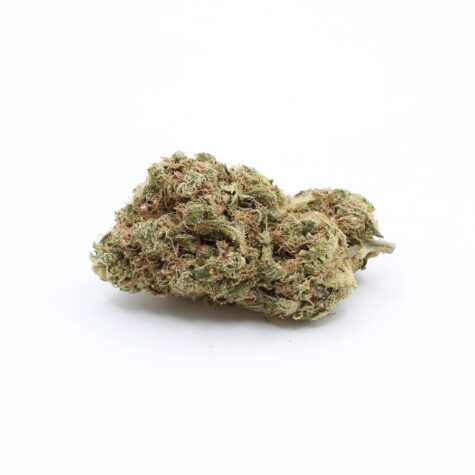 Flower Amnesia Pic1 - Cannabis Deals In Canada